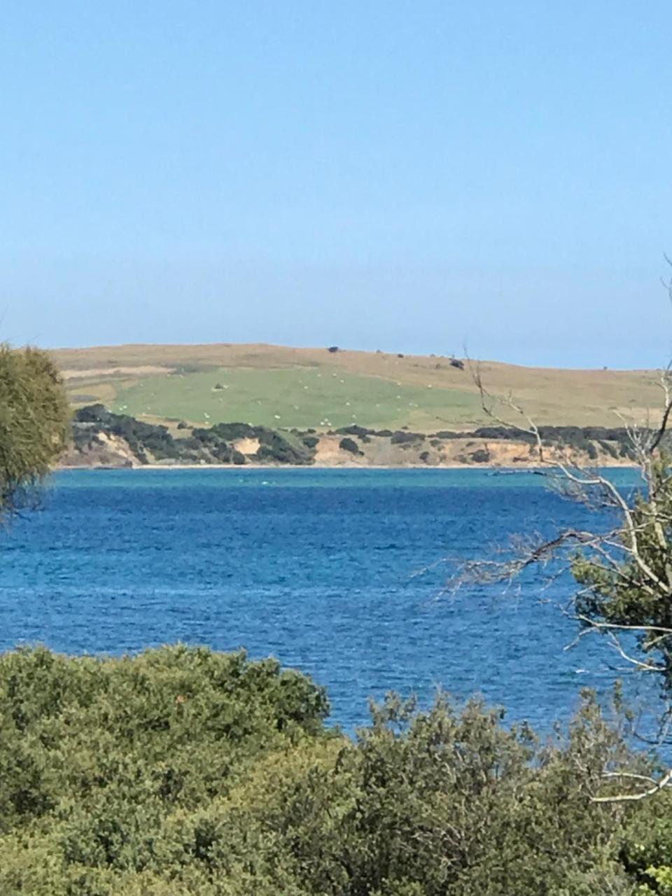 فيلا Bunya By The Sea Cape Woolamai المظهر الخارجي الصورة
